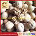 Walnut Kernel New Crop Healthy Delicous